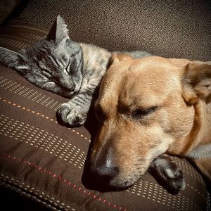 Meet your Posher, Ninva